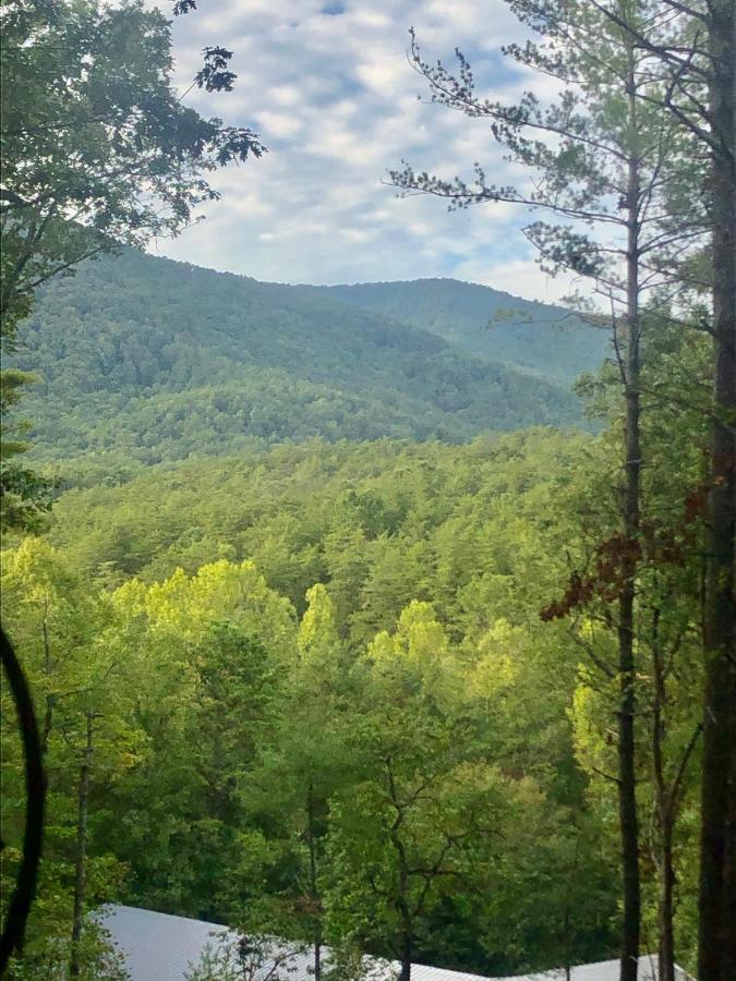 Mountain-Top Cabin Get-Away With Hot Tub And A View Sautee Nacoochee Eksteriør billede
